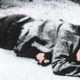 JPEG - 39.8 kio